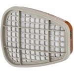 6051 A1 Organic Vap Gas Filters Pk2