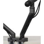 Be Flexible Dual Monitor Arm Dgrey