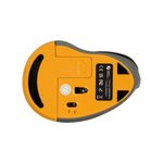 Bakkerelkhuizen Prf Wls Ver Mouse Rh