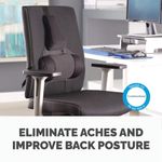 Fellowes Ultimate Back Support Black