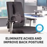 Fellowes Ultimate Back Support Black