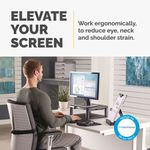 Fellowes Premium Monitor Stand Black