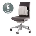 Fellowes Slimline Back Support Grh