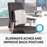 Fellowes Slimline Back Support Grh