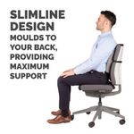 Fellowes Slimline Back Support Grh