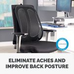 Fellowes Office Suites Mesh Back Sup