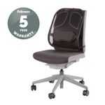 Fellowes Prof Mesh Back Support