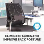 Fellowes Prof Mesh Back Support