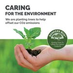 Smoothmove Rmval Box 85L Brn/Blu Pk5