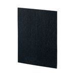 Fellowes Dx55 Carbon Filter Pk4