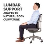 Fellowes I-Spire Lumbar Cushion Gry