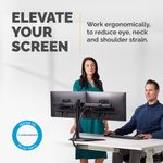 Fellowes Professional Dual Mon Arm