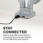 Fellowes Platinum Dual Mon Arm Slv