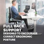 Fellowes Comfort Back Cushion Black