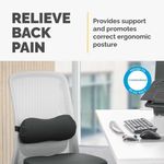 Fellowes Lumbar Cushion Black