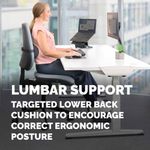 Fellowes Lumbar Cushion Black