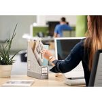 Fellowes Mag File Grey/White Pk10