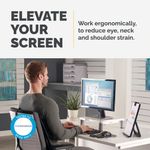 Fellowes Standard Monitor Stand Plat