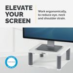 Fellowes Premium Monitor Stand Plus