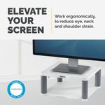 Fellowes Premium Monitor Stand Plat