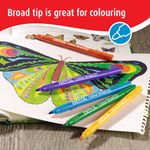 Berol Colour Broad Pen Ast Wb Pk42