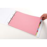 Elba A3 Card Dividers 10 Part Ast