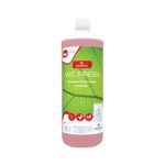 Green'R Toilet Clnr/Descaler 1L Pk12