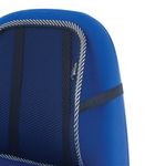 Contour Ergonomics Mesh Back Support
