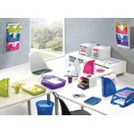 Cep Mag File Mcol Pk5