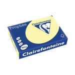 Trophee Card A4 160Gm Canary Pk250