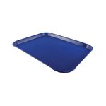 Tea Tray Plain 445X330Mm Blue