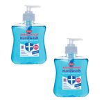 Certex 250Ml Antibacterial Hand Wash