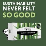 Cheeky Panda Facial Tiss 80 Sht P12