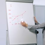 Durable Wbrd Fluid Clnr/Ren 250Ml