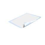 Bed Premfix Protect Pad 600X900 Pk30