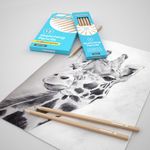 Classmaster Graphite Pencils Ast Pk6