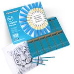 Classmaster Graphite Hb Pencils P500