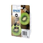 Epson 202 Ink Premium Photo Black