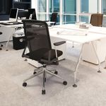 Floortex Cleartex Chr Mat Carp Clr