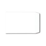 Env Pkt Plsl 100Gsm C4 White Pk250