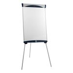 Easel Drywipe Magnetic A1 Gry
