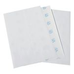 Mpps Labs 99X93Mm White Pk600