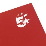 Twinbound Hdbk A4 140Pg Berry Pk5