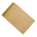 Envelopes Rcyc Pkt 406X305Mm Pk250