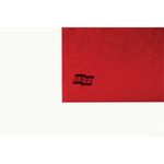 Europa Spiral File Fc Red 3008 Pk25