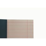 Guildhall Register And Mark Book