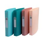 Skandi Ring Binder Ast Pk4