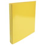 Iderama A4 2 Ring Binder Ast Pk10