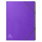 Exacompta Teksto Multip File 12Pt P8