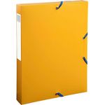 Exacompta Bee Blue Bx File 40 Ast P8